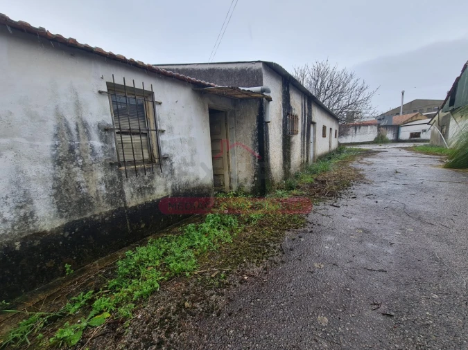 Armazém para Venda em Águeda e Borralha Foto 3