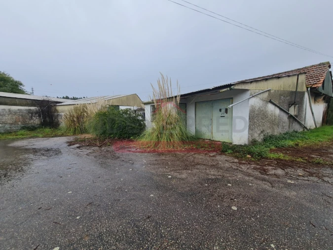 Armazém para Venda em Águeda e Borralha Foto 7