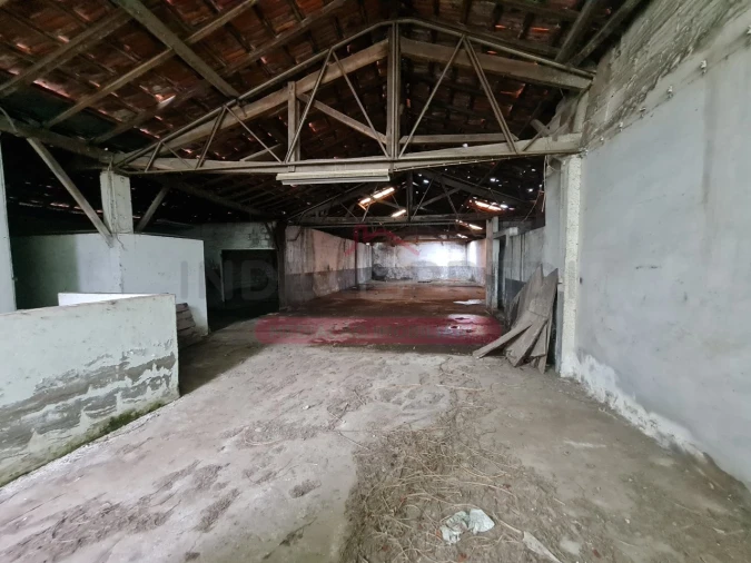 Armazém para Venda em Águeda e Borralha Foto 8