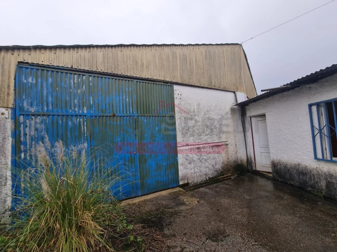 Armazém para Venda em Águeda e Borralha Foto 15