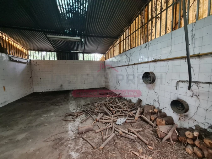 Armazém para Venda em Águeda e Borralha Foto 43