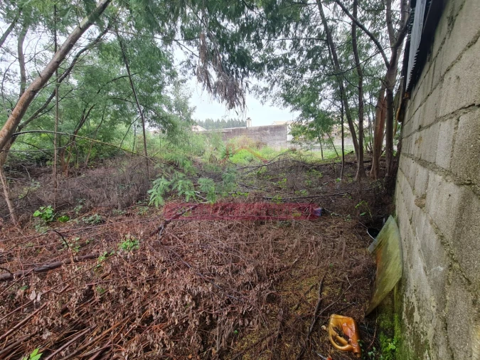 Armazém para Venda em Águeda e Borralha Foto 47