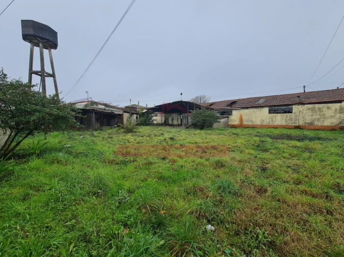 Armazém para Venda em Águeda e Borralha Foto 55