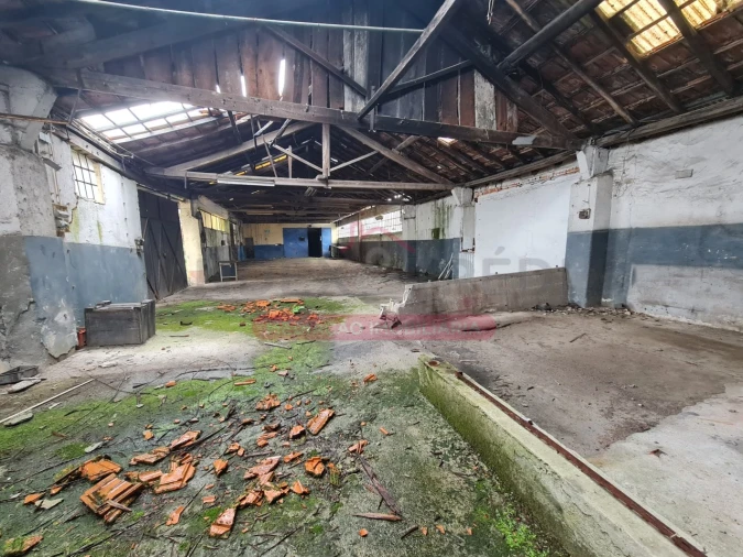 Armazém para Venda em Águeda e Borralha Foto 69