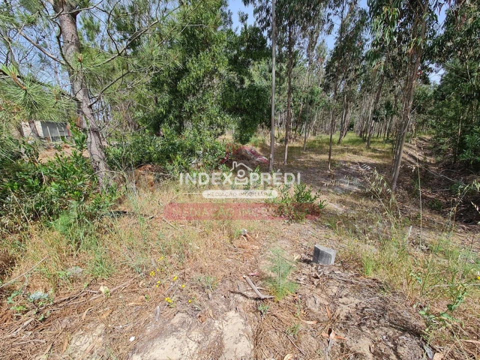 Terreno para Venda em Marinha das Ondas Foto 5