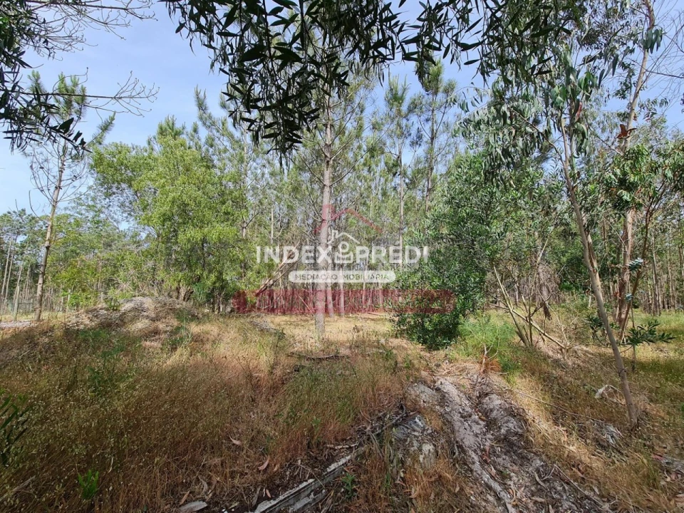 Terreno para Venda em Marinha das Ondas Foto 8