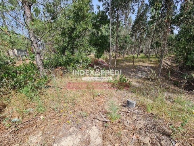 Terreno para Venda em Marinha das Ondas Foto 5