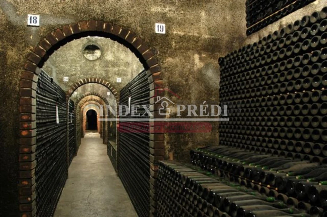 Armazém para Venda em Sangalhos Foto 12