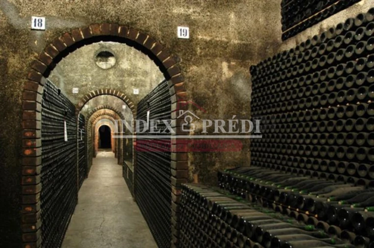 Armazém para Venda em Sangalhos Foto 12