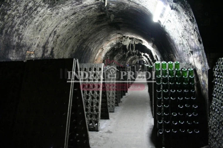 Armazém para Venda em Sangalhos Foto 8