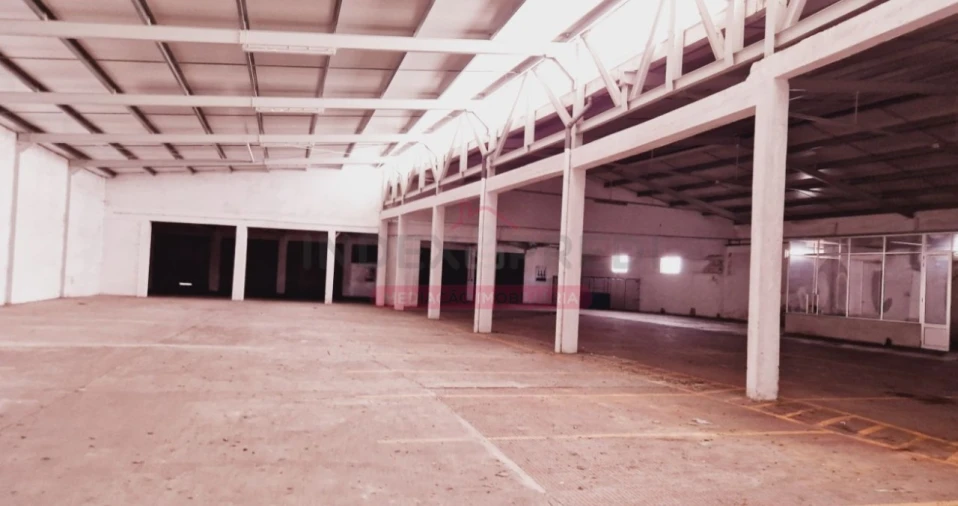 Armazém para Venda em Sangalhos Foto 38