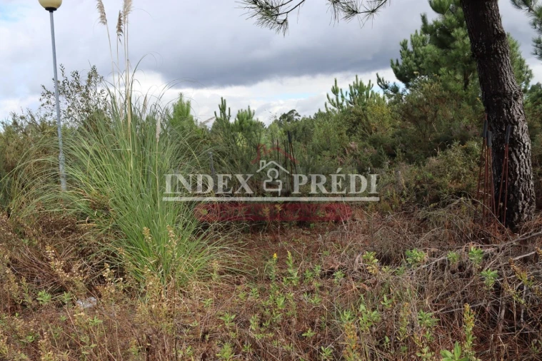 Terreno para Venda em São Roque Foto 6