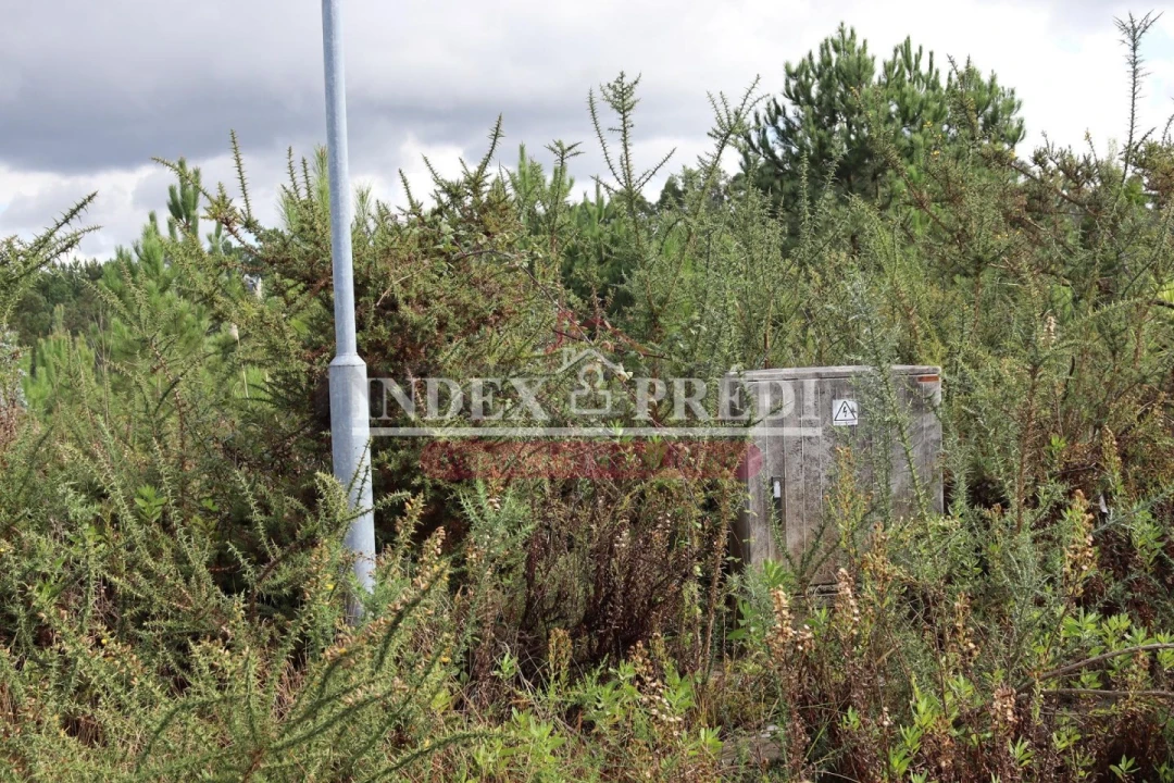 Terreno para Venda em São Roque Foto 9