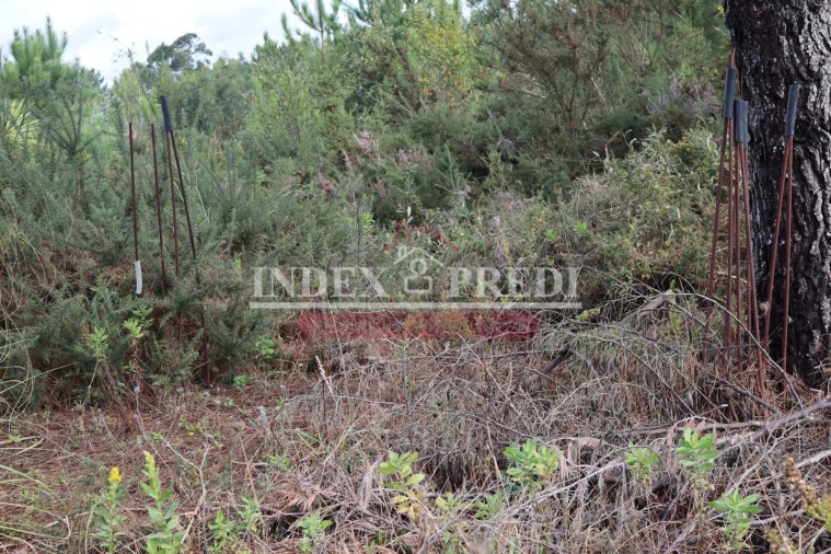 Terreno para Venda em São Roque Foto 4