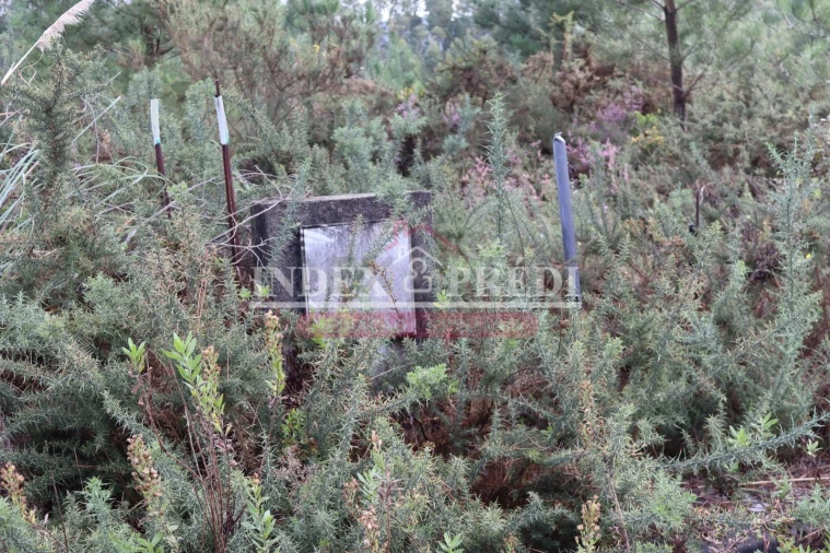 Terreno para Venda em São Roque Foto 7