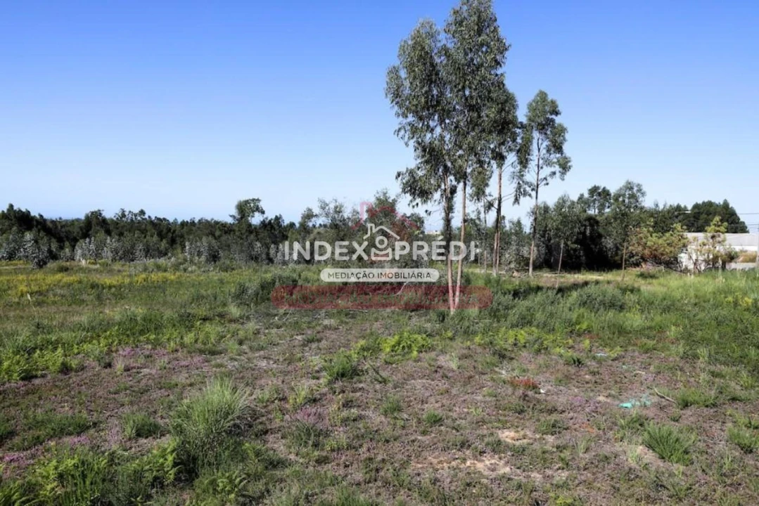 Terreno para Venda em Santa Maria de Lamas Foto 3