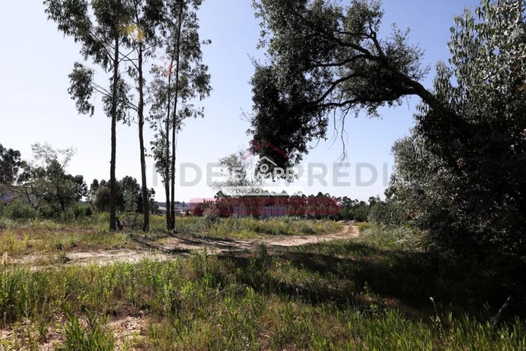 Terreno para Venda em Santa Maria de Lamas Foto 4