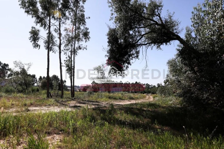 Terreno para Venda em Santa Maria de Lamas Foto 4