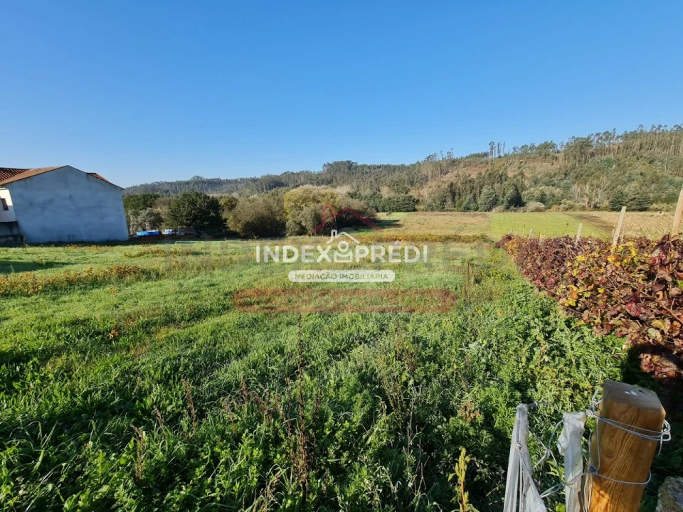 Terreno para Venda em Trofa, Segadães e Lamas do Vouga Foto 10
