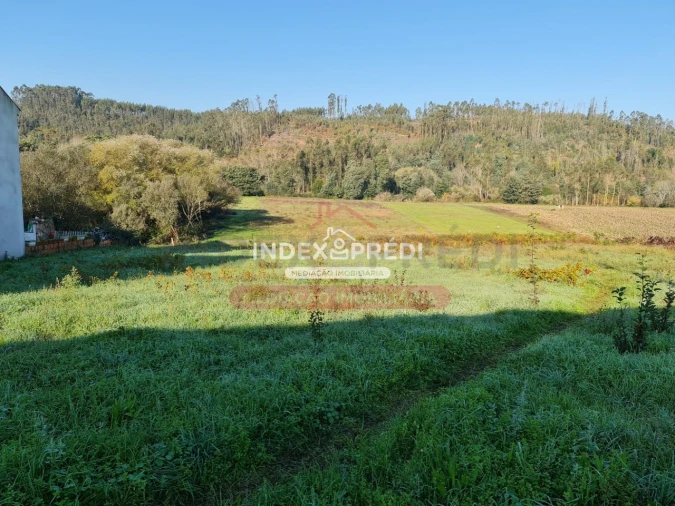 Terreno para Venda em Trofa, Segadães e Lamas do Vouga Foto 1