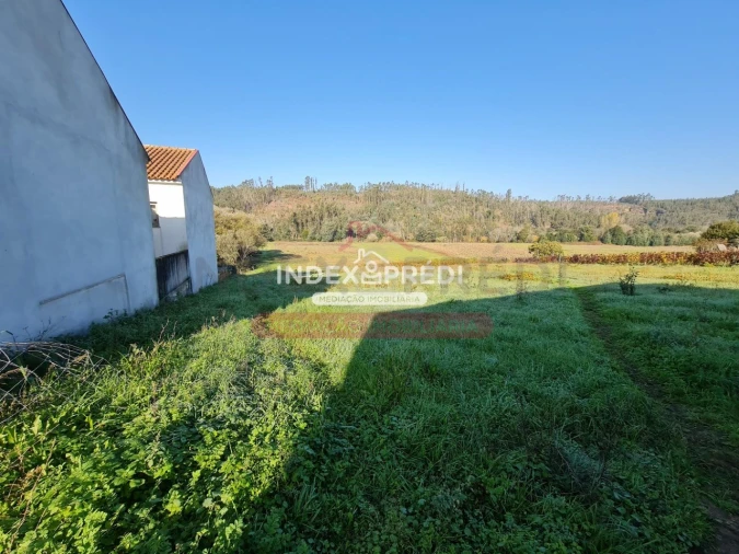 Terreno para Venda em Trofa, Segadães e Lamas do Vouga Foto 2