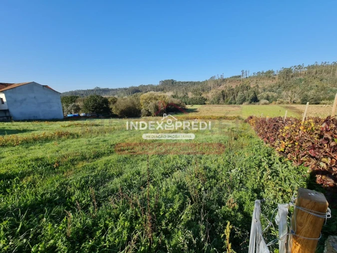 Terreno para Venda em Trofa, Segadães e Lamas do Vouga Foto 4