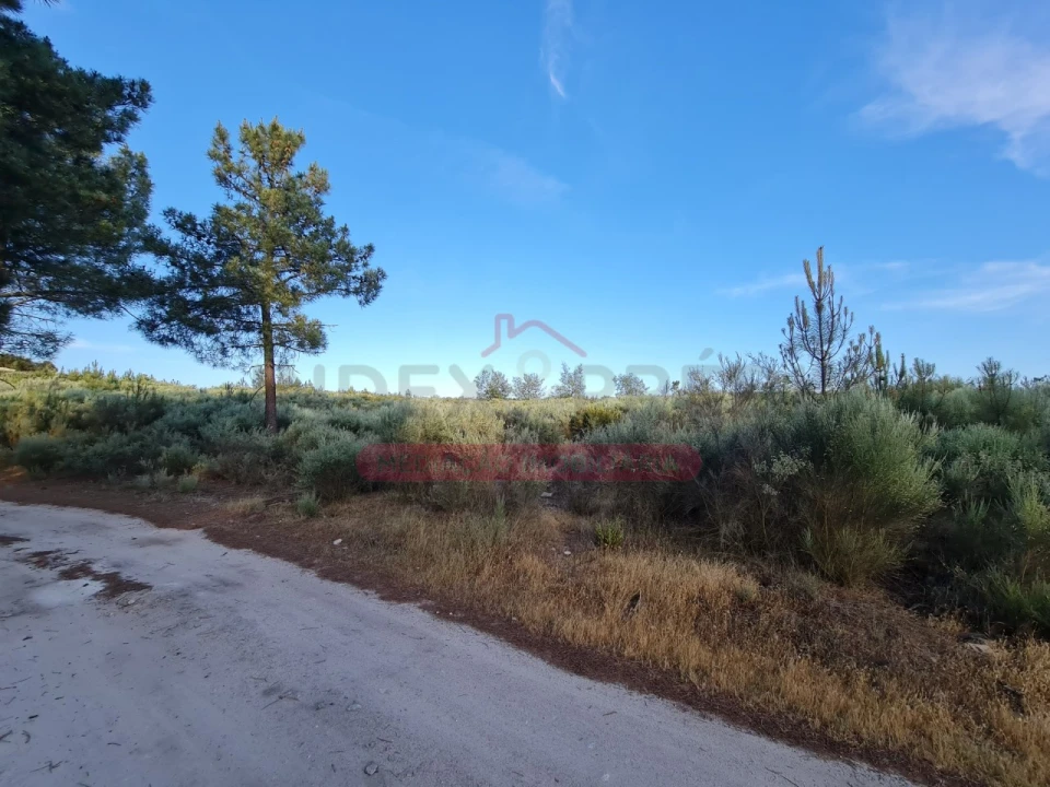 Terreno Agricola ou Rústico para Venda em Castelo Foto 7