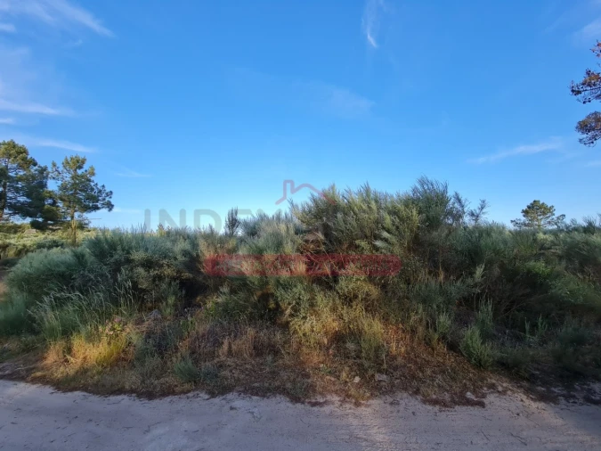 Terreno Agricola ou Rústico para Venda em Castelo Foto 5