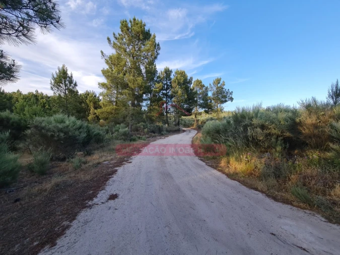 Terreno Agricola ou Rústico para Venda em Castelo