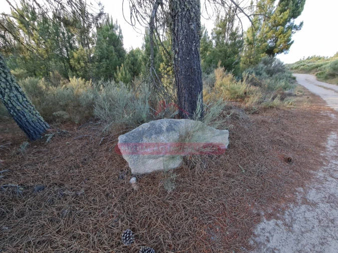 Terreno Agricola ou Rústico para Venda em Castelo Foto 4