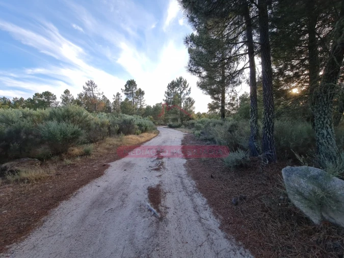 Terreno Agricola ou Rústico para Venda em Castelo Foto 2