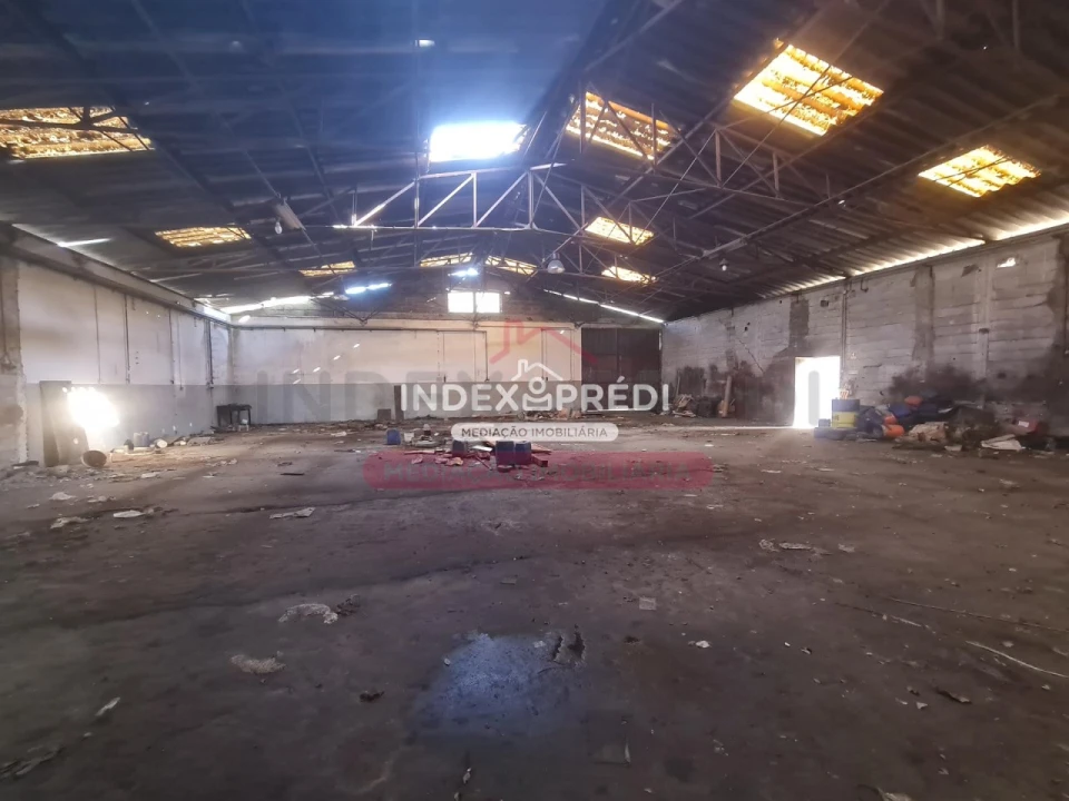 Armazém para Venda em Sernancelhe e Sarzeda Foto 3