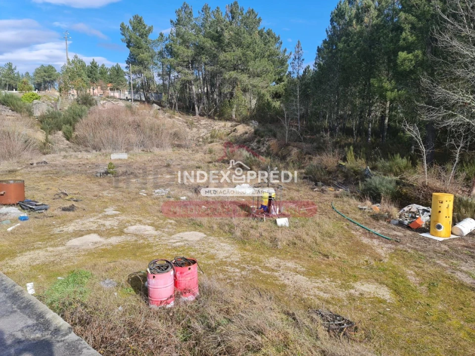 Armazém para Venda em Sernancelhe e Sarzeda Foto 9