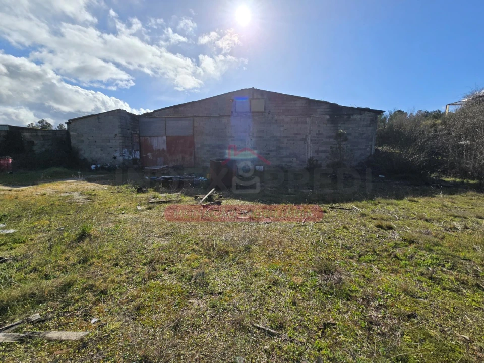 Armazém para Venda em Sernancelhe e Sarzeda Foto 13