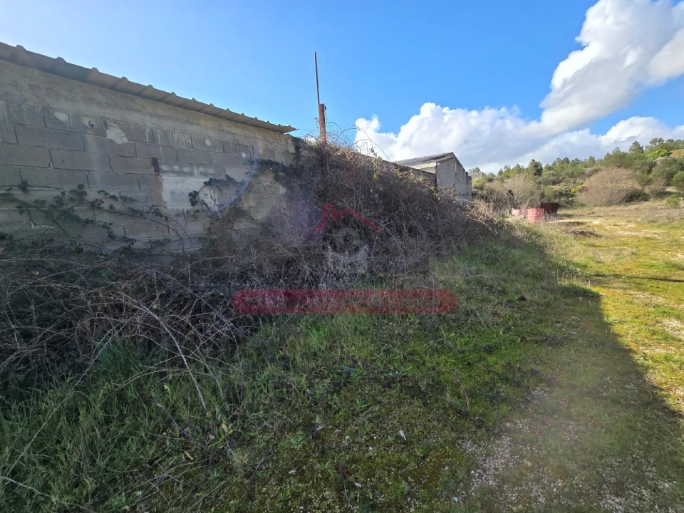 Armazém para Venda em Sernancelhe e Sarzeda Foto 17