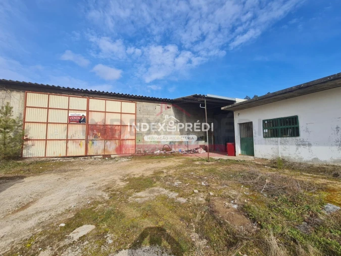 Armazém para Venda em Sernancelhe e Sarzeda Foto 2