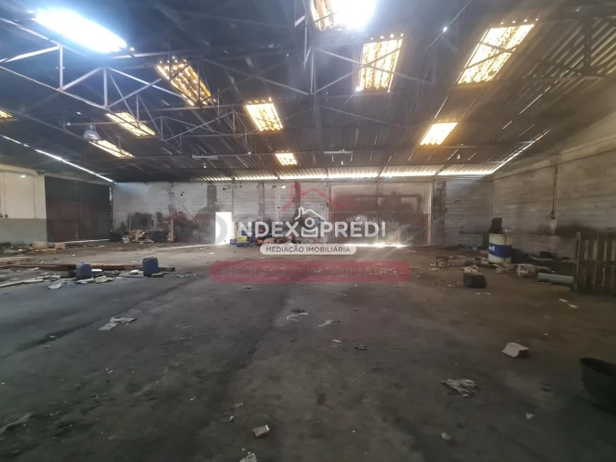 Armazém para Venda em Sernancelhe e Sarzeda Foto 6