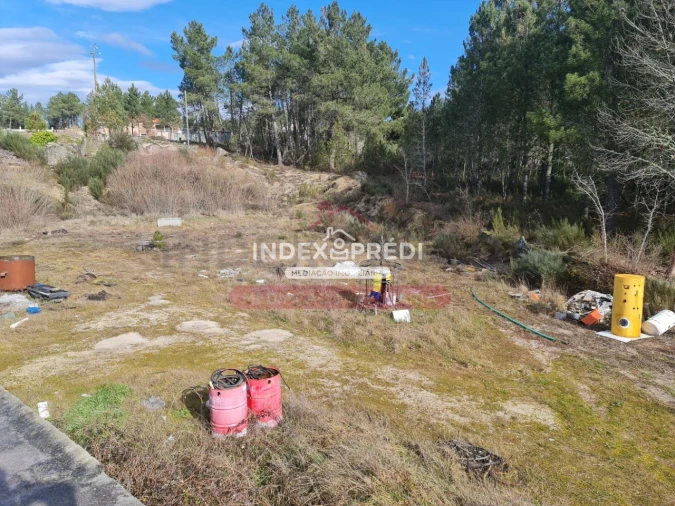 Armazém para Venda em Sernancelhe e Sarzeda Foto 9