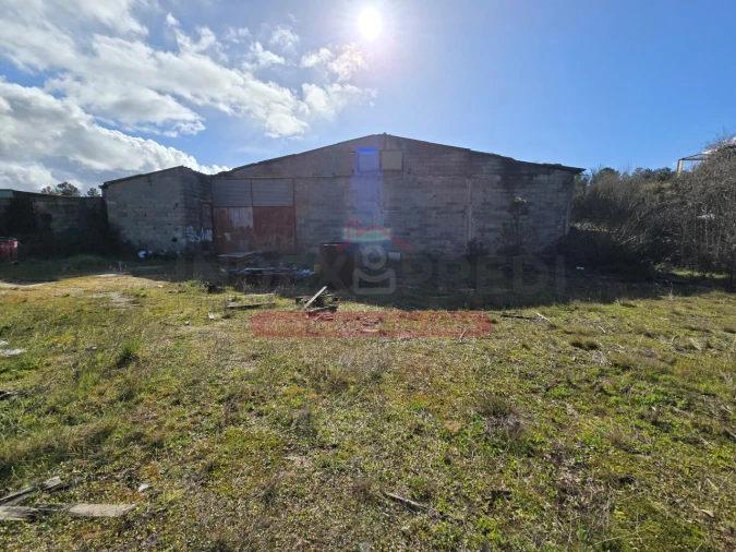 Armazém para Venda em Sernancelhe e Sarzeda Foto 13