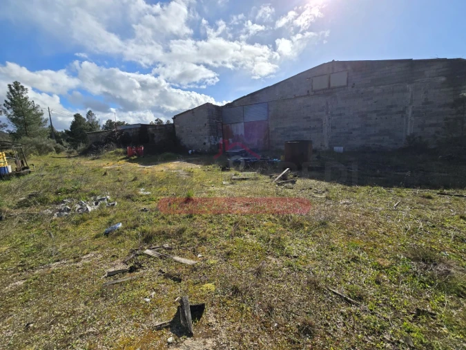 Armazém para Venda em Sernancelhe e Sarzeda Foto 18