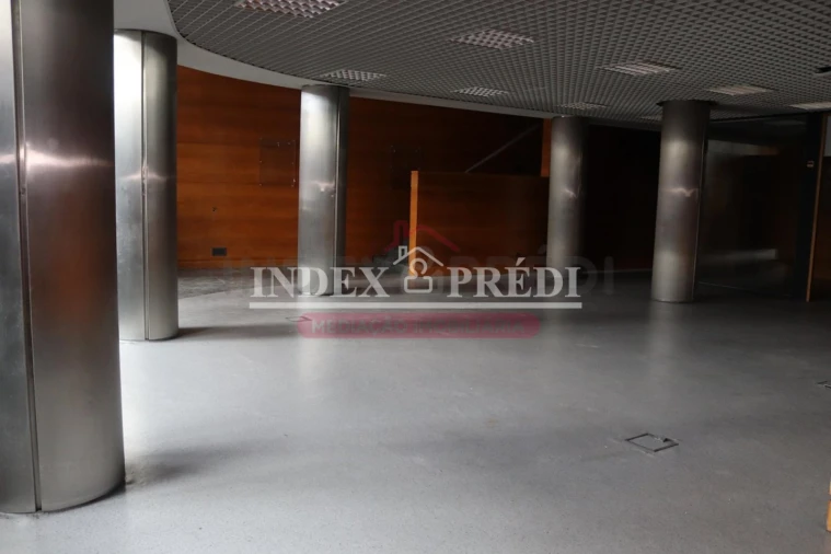 Loja para Venda em Águeda e Borralha Foto 2