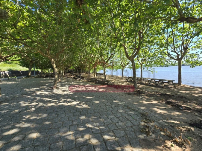 Negócio para Venda em Travassô e Óis da Ribeira Foto 32