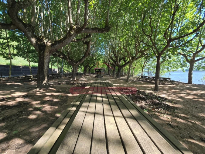 Negócio para Venda em Travassô e Óis da Ribeira Foto 35