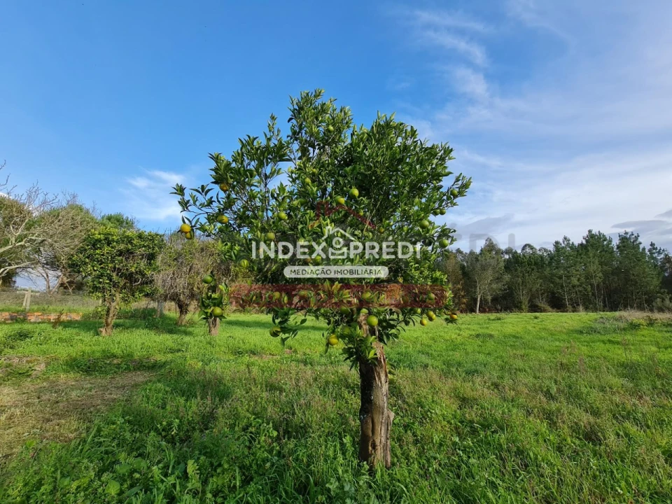 Terreno para Venda em Covões e Camarneira Foto 3