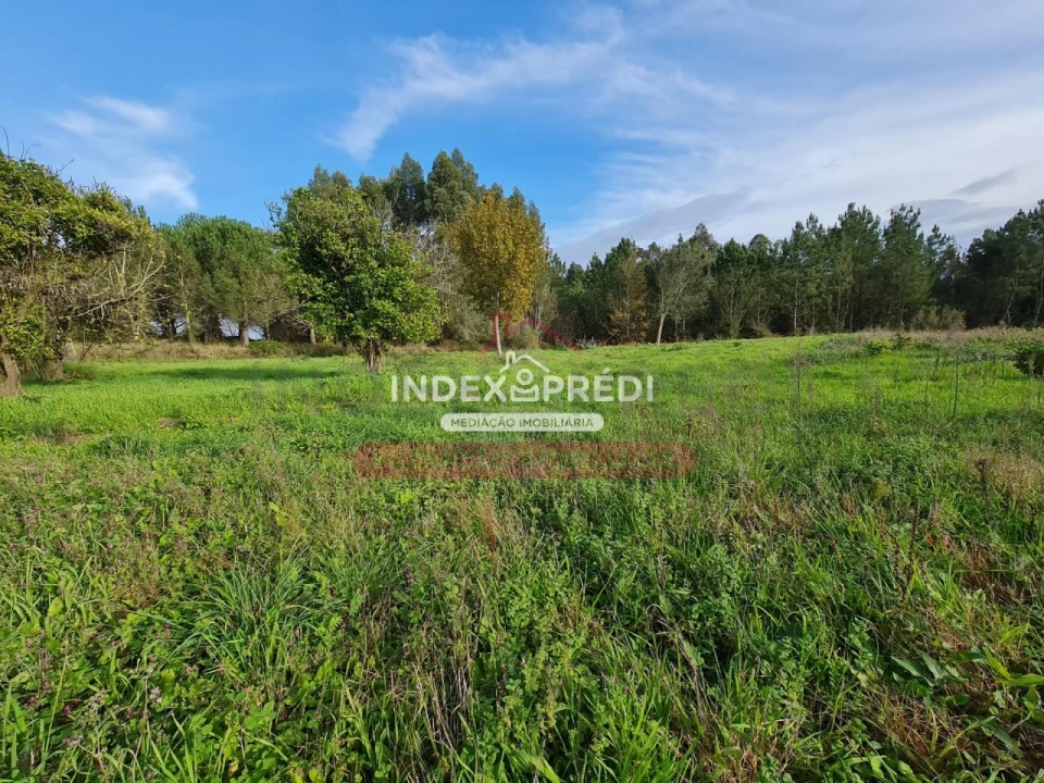 Terreno para Venda em Covões e Camarneira Foto 4