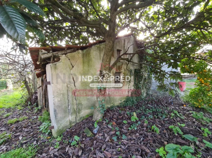 Terreno para Venda em Covões e Camarneira Foto 12