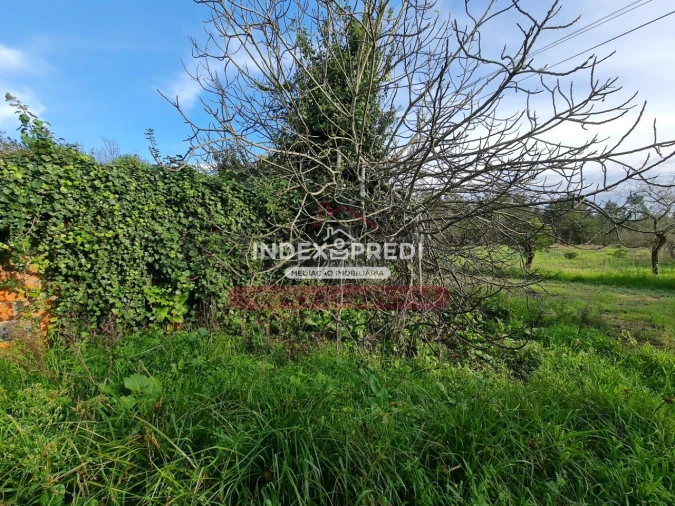 Terreno para Venda em Covões e Camarneira Foto 18