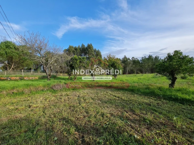 Terreno para Venda em Covões e Camarneira Foto 19