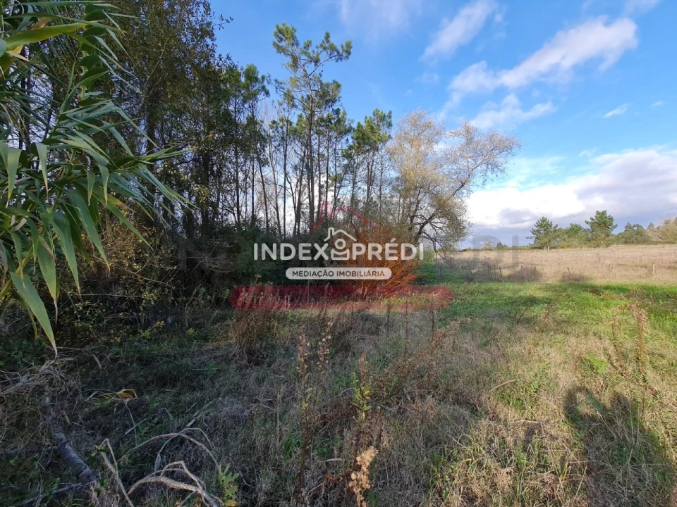 Terreno para Venda em Covões e Camarneira Foto 5
