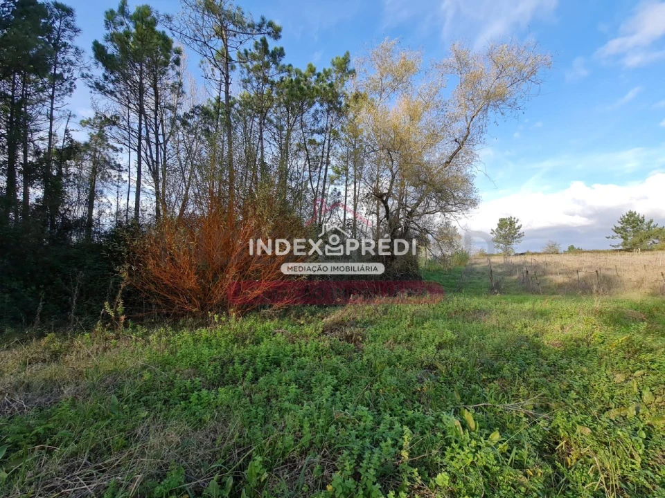 Terreno para Venda em Covões e Camarneira Foto 7